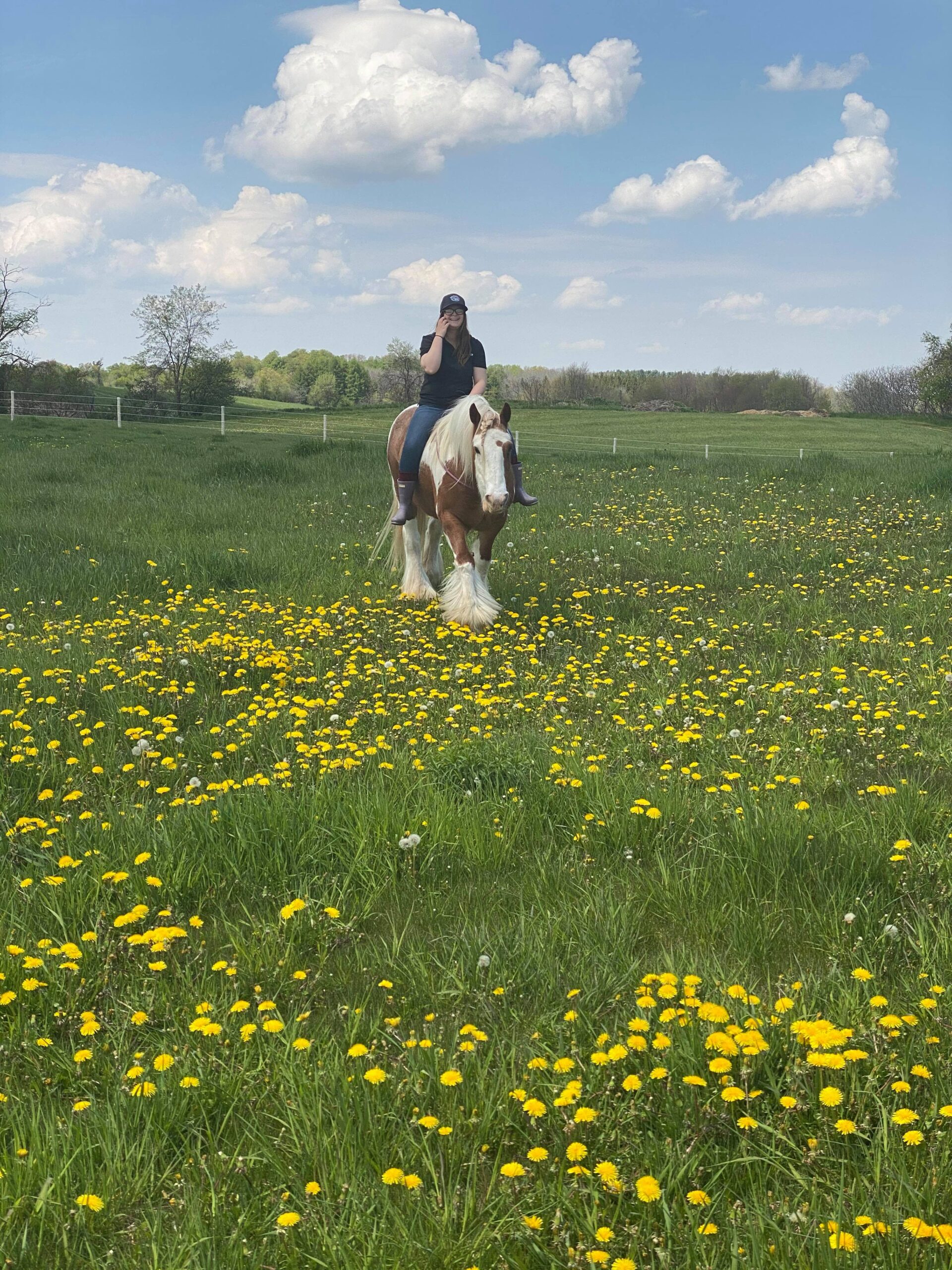 187735000_751036275577094_7216924304297105714_n Quarter Horse Bitless