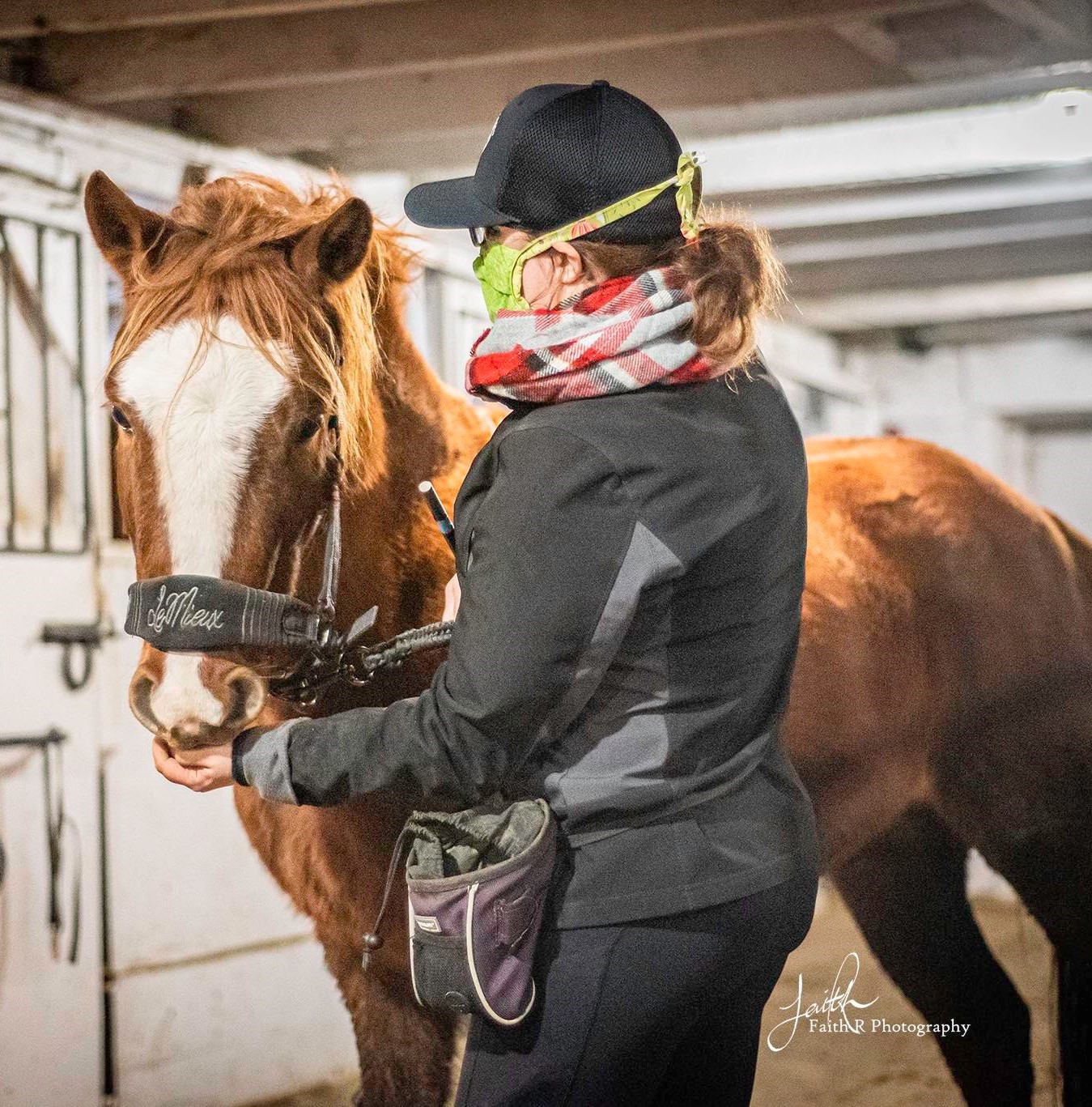 logo peekaboo Gypsy Vanner Horse Ridden