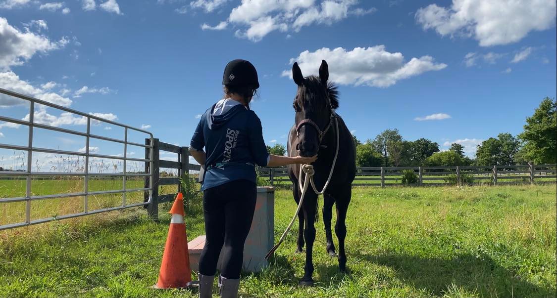 296036081_1058602311436107_4188222388351869653_n Gypsy Vanner Horse Ridden