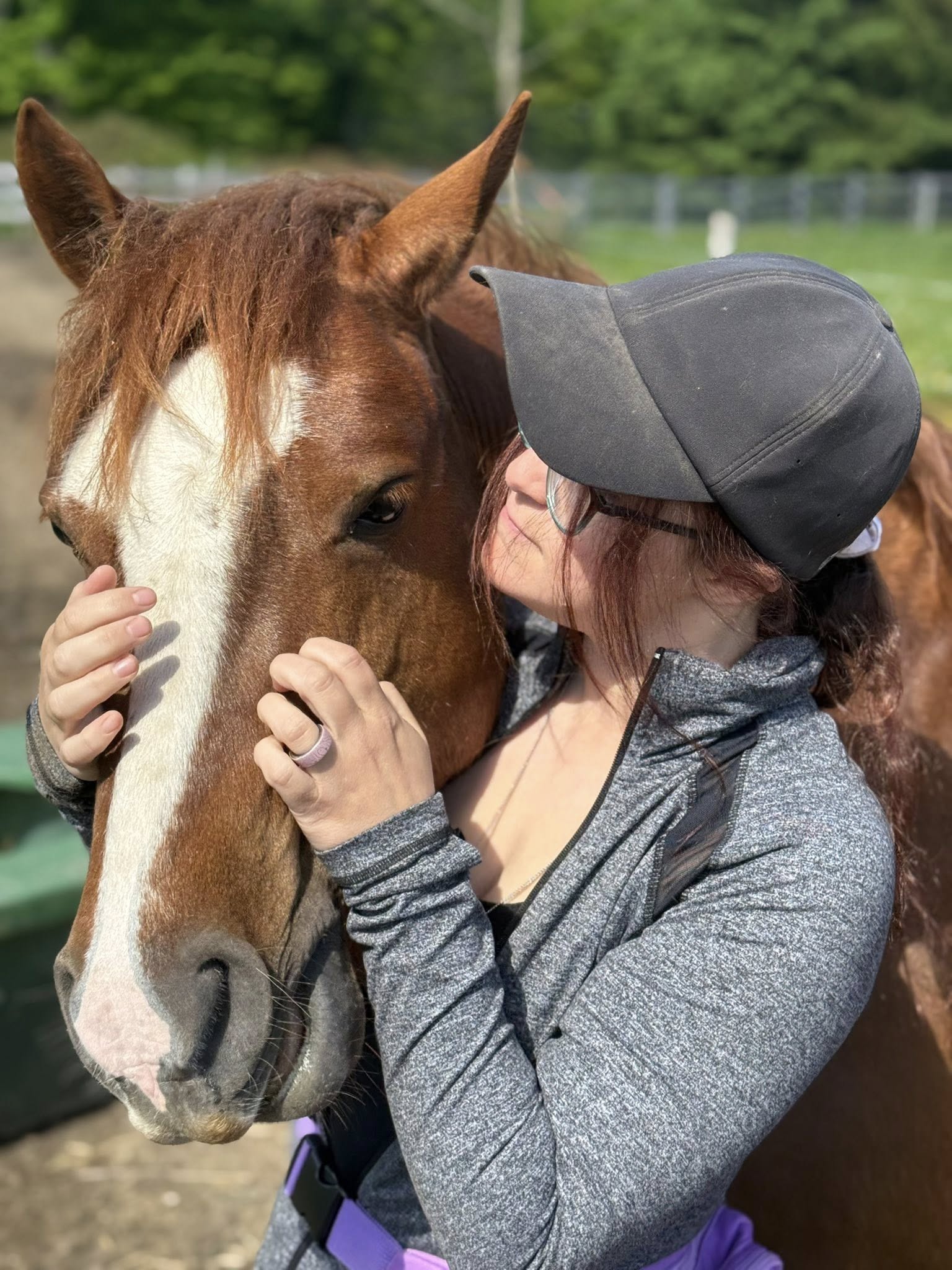 495453714_1377014127268294_4916382916172132159_n Clicker Training Dutch Harness Horse