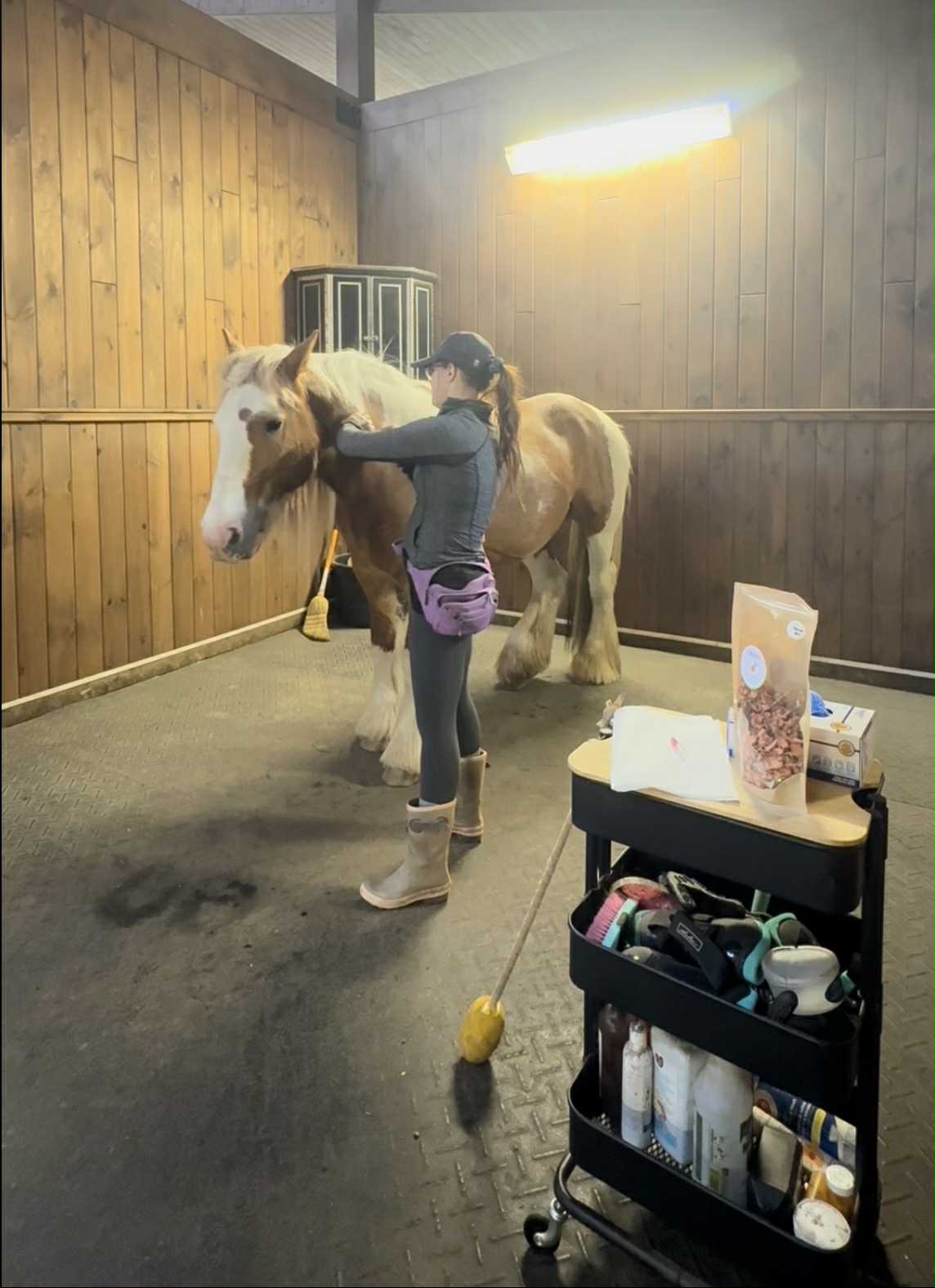 Cooperartive Care Welsh Pony and Trainer
