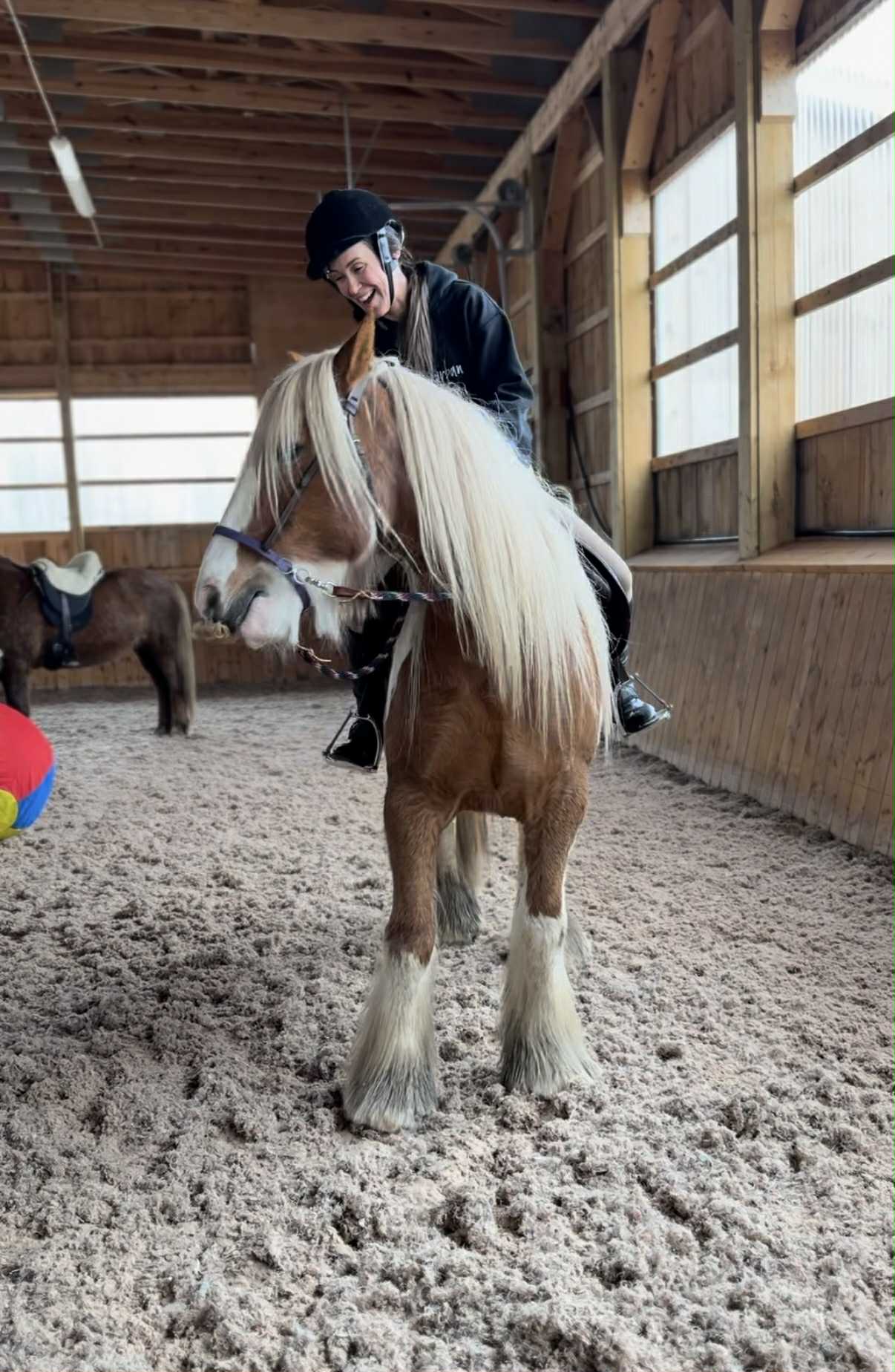 Pale 3 Quarter Horse Bitless