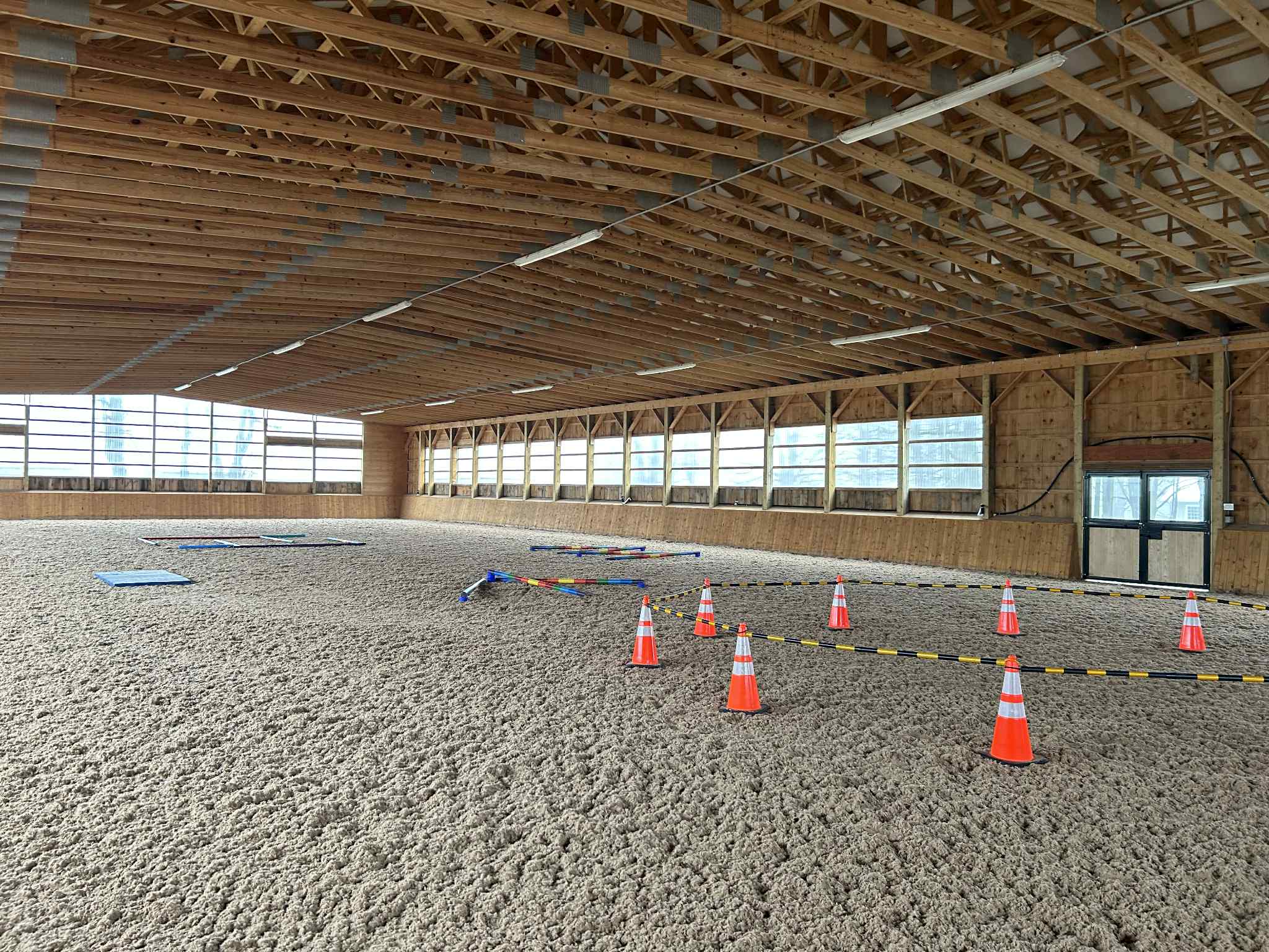 d9f8e586-294c-4371-9ba5-a774dfa03c68 Welsh Pony and Trainer